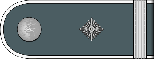 Datei:DRK-Vorhelfer mit h.png