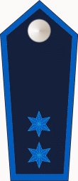 Datei:Dienststellungsabzeichen-Gruppenführer-Schulterklappe.png