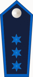 Datei:Dienststellungsabzeichen-Zugtruppführer-Schulterklappe.png