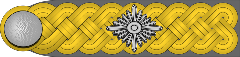 Datei:DRK-Generalhauptführer h.png